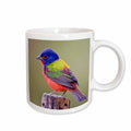 3dRose Mug