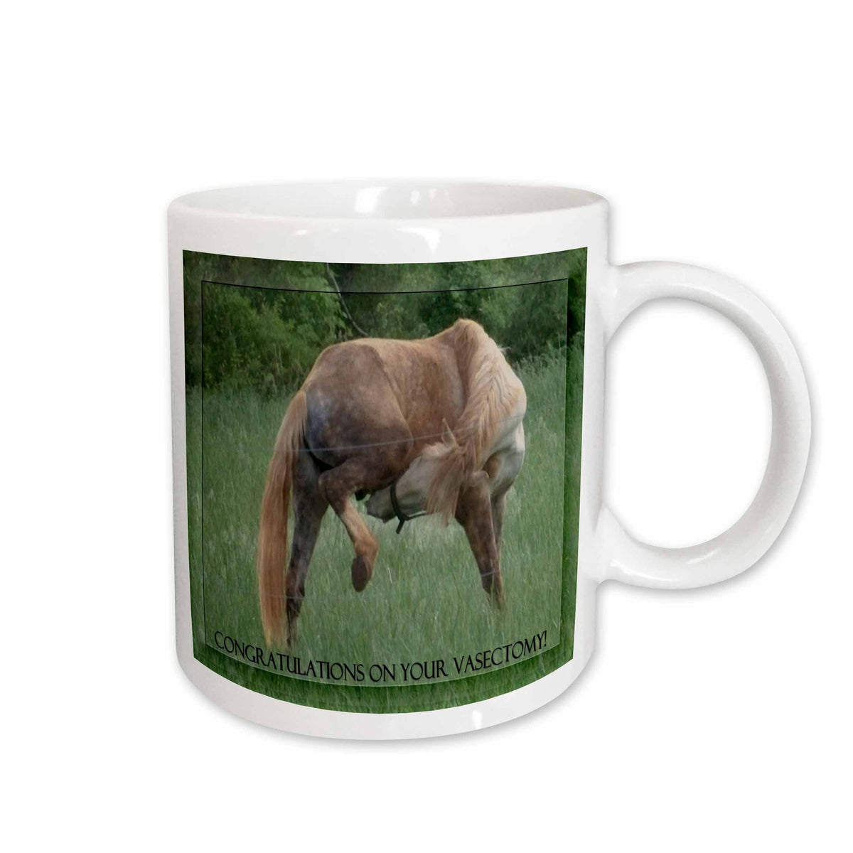 3dRose Funny Horse Green Background Congratulations On Vasectomy - Mugs (mug_14775)
