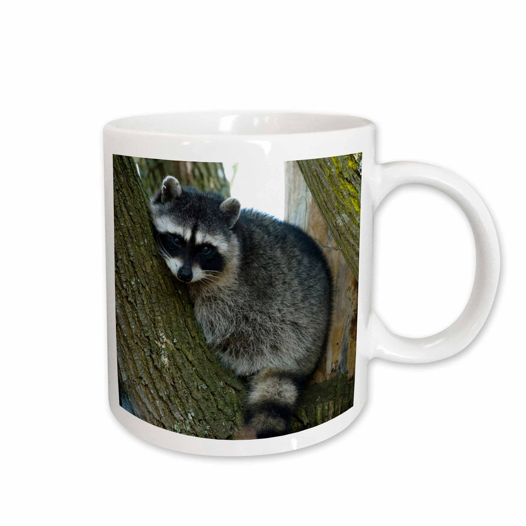 3dRose Mug