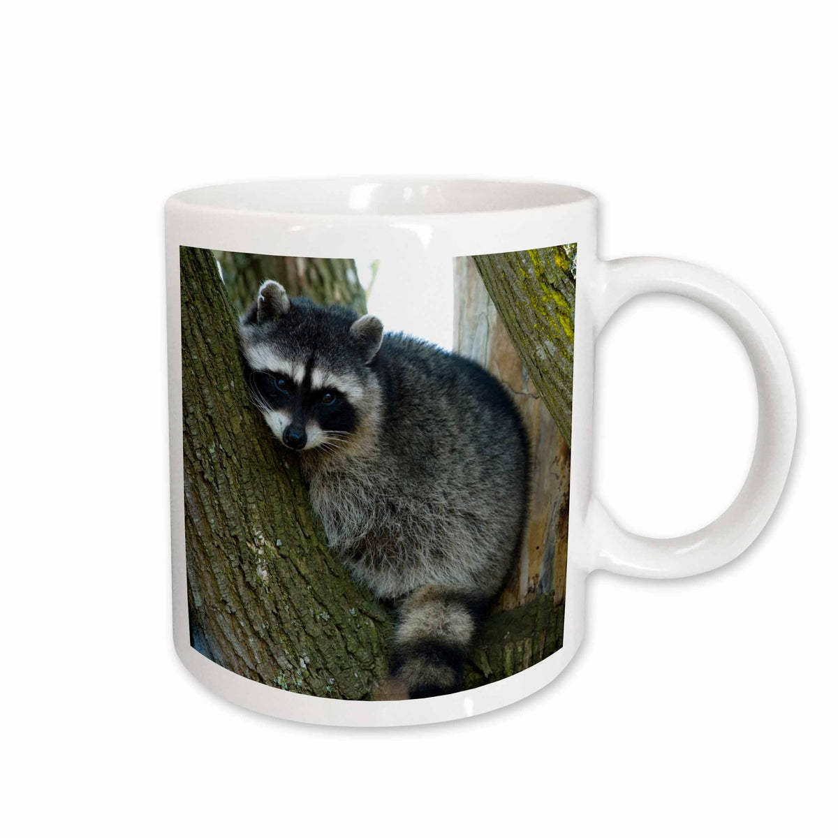 3dRose Mug