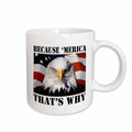 3dRose EvaDane - Funny Political Quotes - Because ‘Merica that’s why - Mugs (mug_149767)