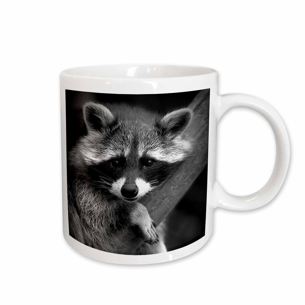 3dRose Doreen Erhardt Wildlife - Baby Raccoon black and white digital image. - Mugs (mug_173001)
