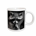 3dRose Doreen Erhardt Wildlife - Baby Raccoon black and white digital image. - Mugs (mug_173001)