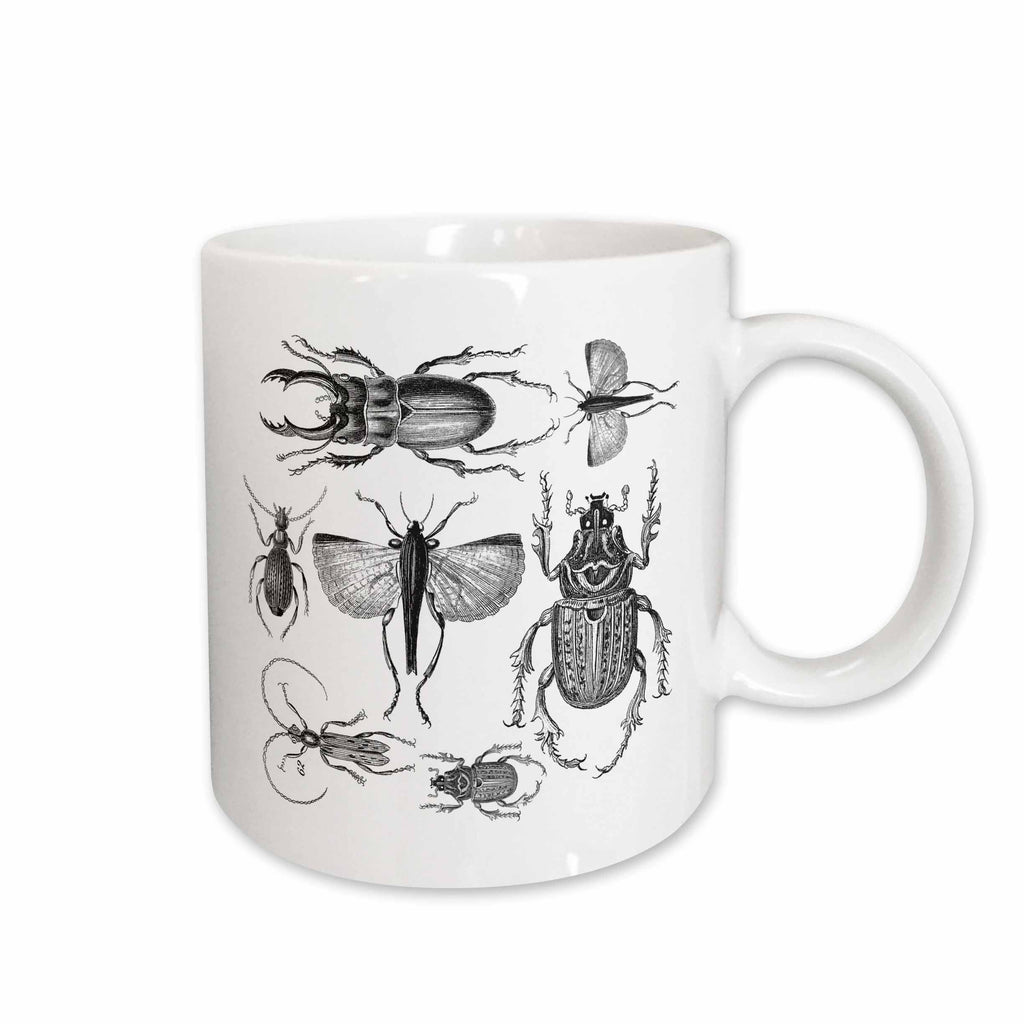 3dRose Vintage drawing of bugs and beetles in black and white - Mugs (mug_264735)