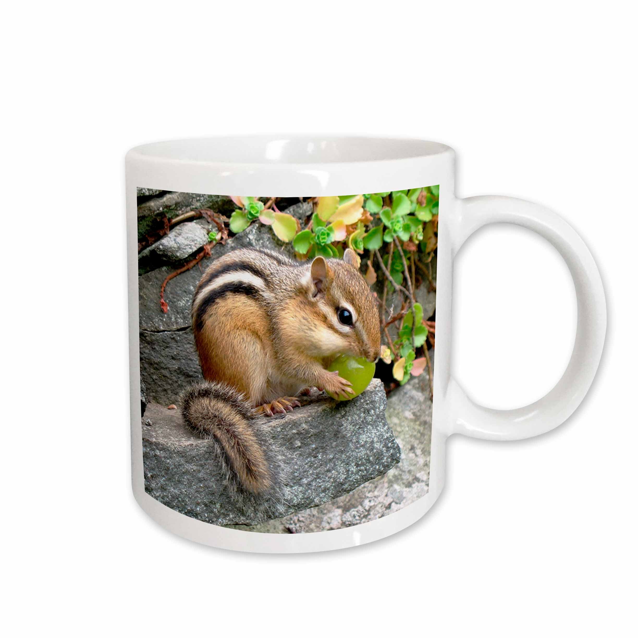 3dRose Wild animals - Chipmunk - Mugs (mug_3109)