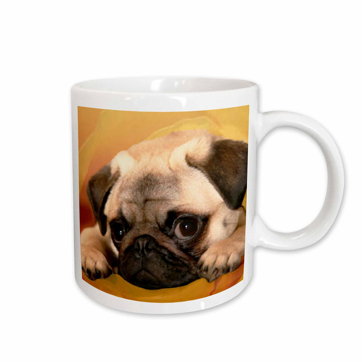 3dRose Dogs Pug - Pug - Mugs (mug_3644)