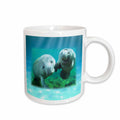 3dRose Florene Underwater Animals - 2 Manatees looking At You - Mugs (mug_39647)
