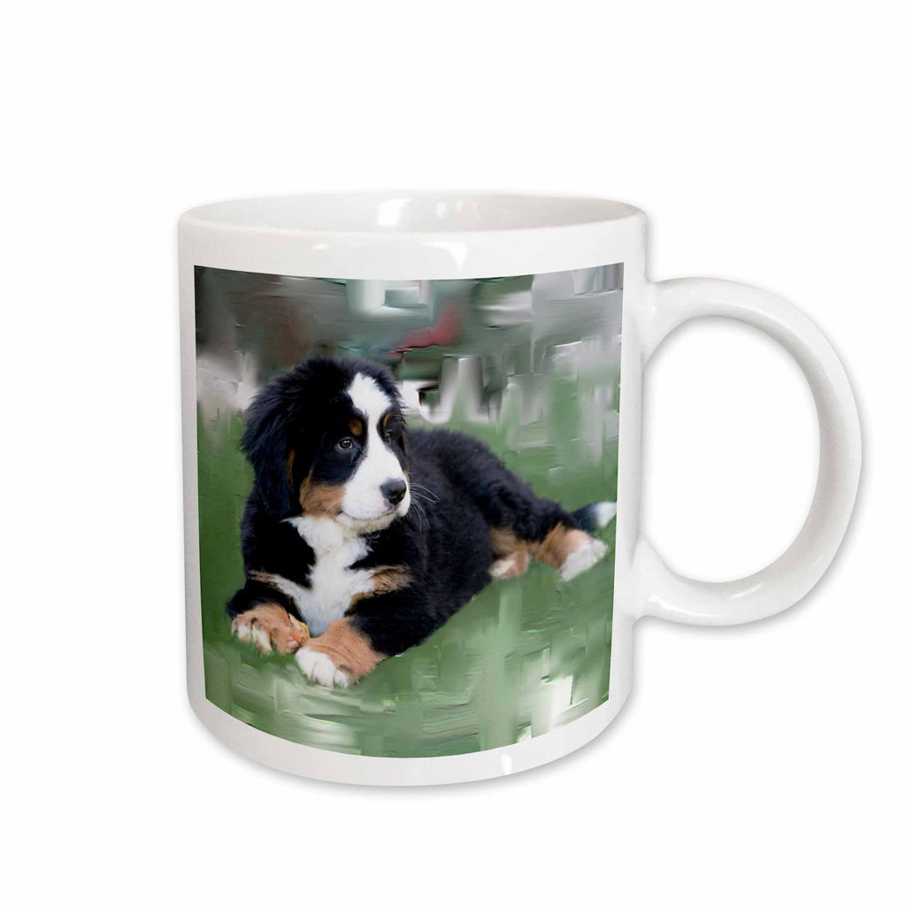 3dRose Dogs Bernese Mountain Dog - Bernese Mountain Dog - Mugs (mug_4038)