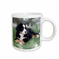 3dRose Dogs Bernese Mountain Dog - Bernese Mountain Dog - Mugs (mug_4038)