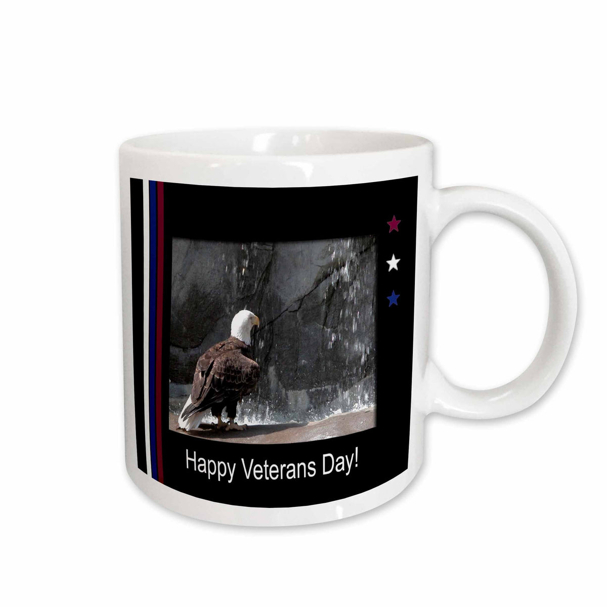 3dRose Beverly Turner Veterans Day Design - Veterans Day, Eagle by Waterfall - Mugs (mug_40478)
