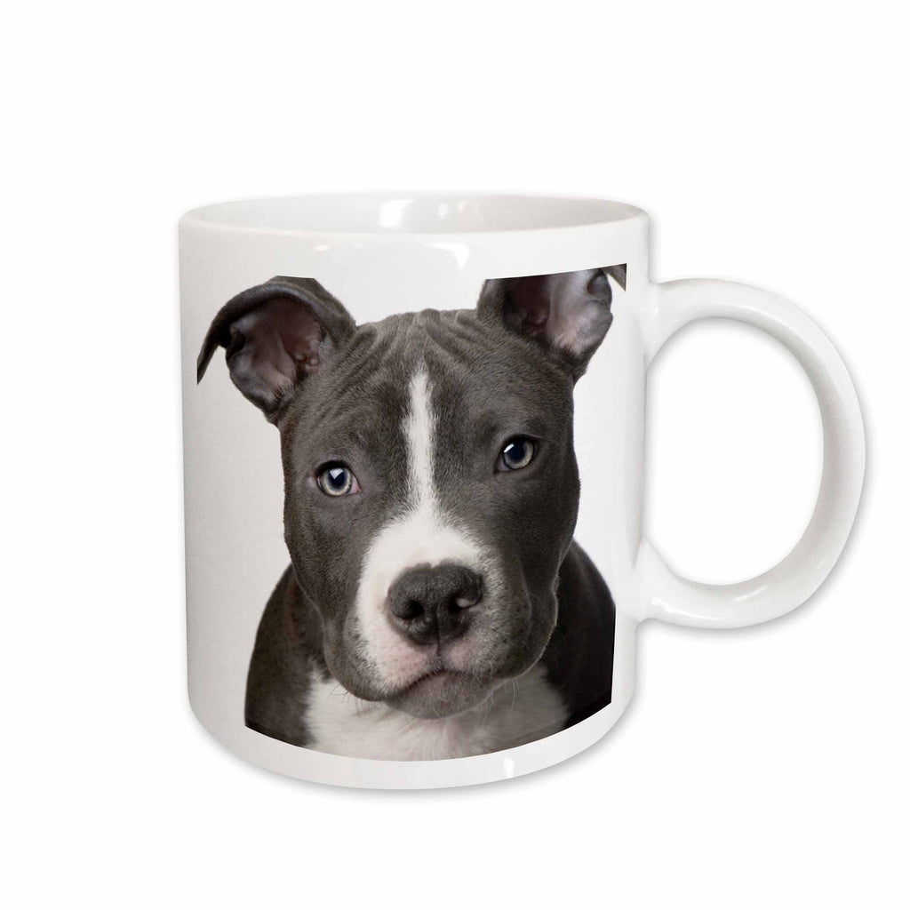 3dRose Dogs Pitbull - American Pit Bull Terrier Puppy - Mugs (mug_4240)