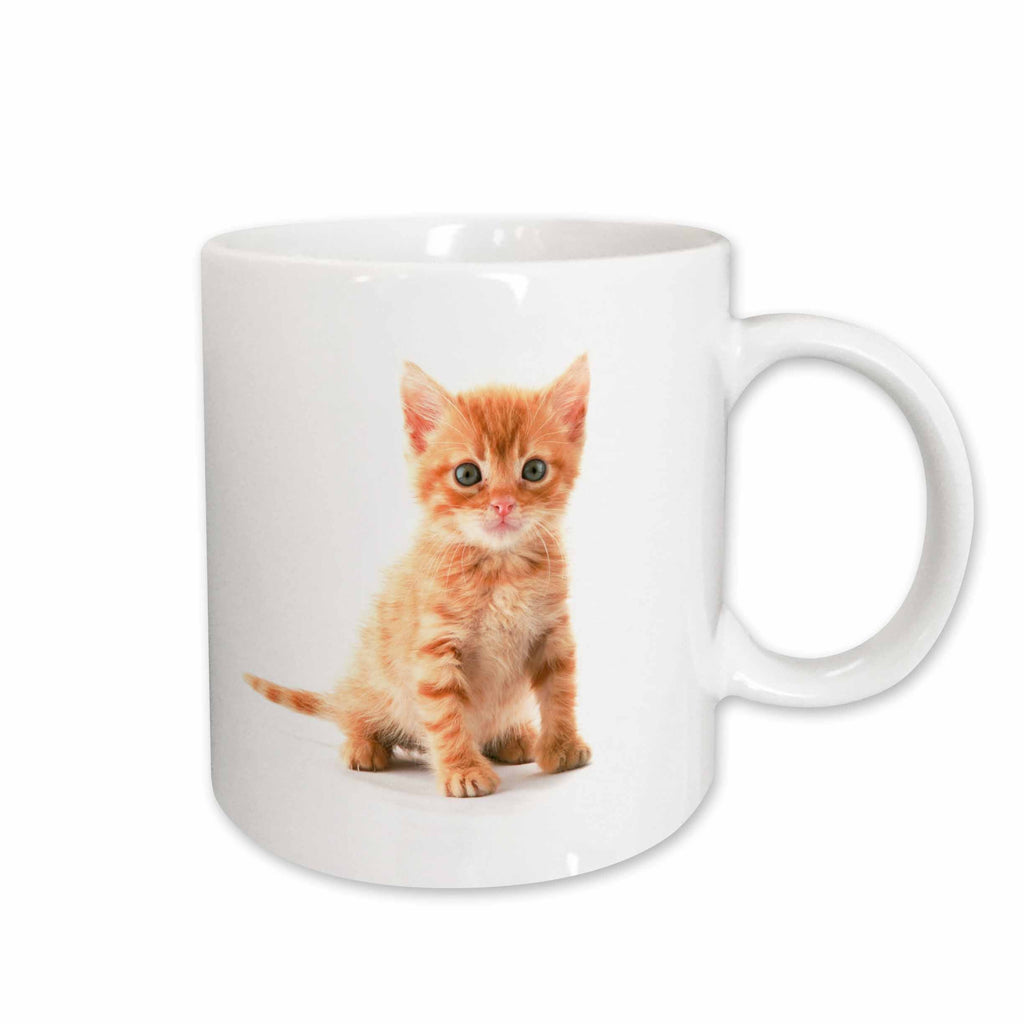 3dRose Florene Cat - Cute Orange Tabby Kitten - Mugs (mug_44771)
