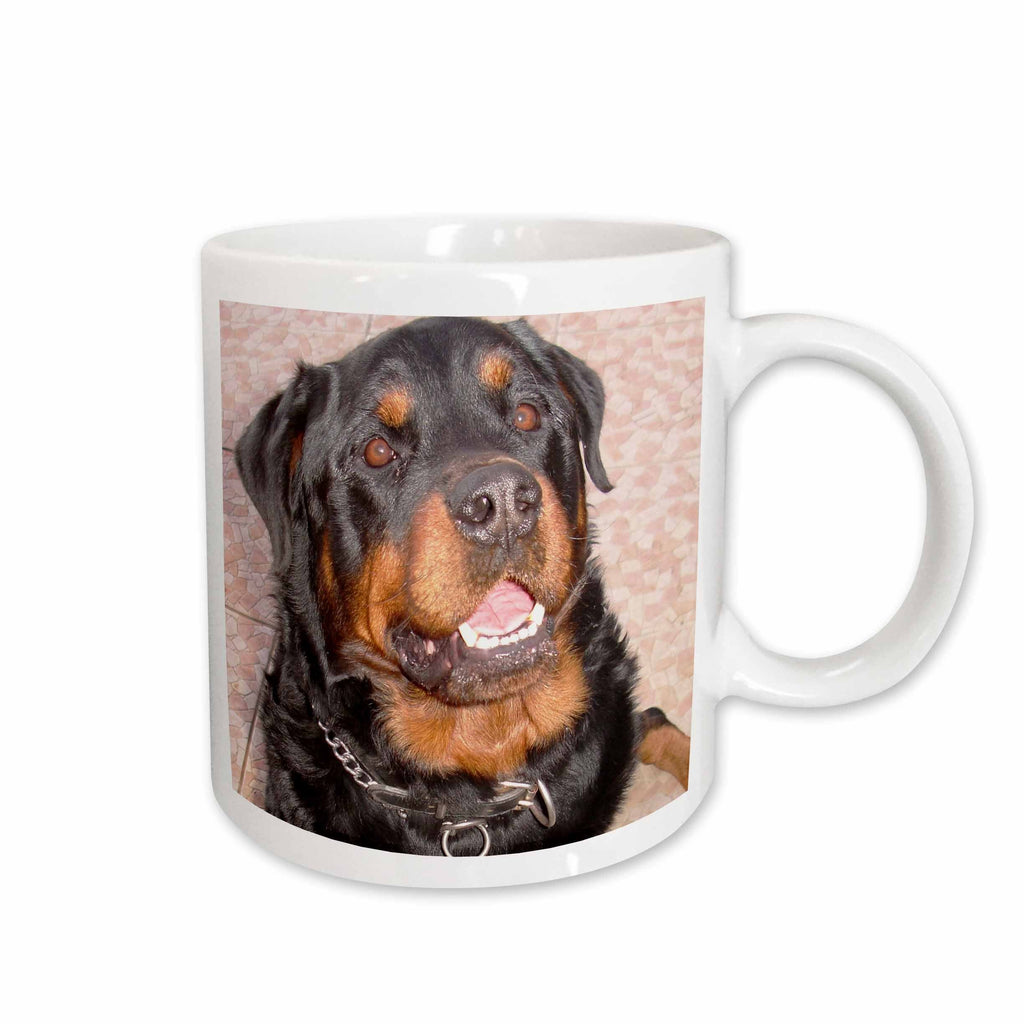 3dRose The Dog Father - rottweiler, rottweilers, rottie, rottie owner,... - Mugs (mug_46707)