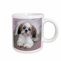 3dRose Dogs ShihTzu - Shih Tzu puppy - Mugs (mug_4807)