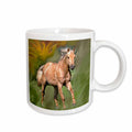 3dRose Horse - Quarter Horse - Mugs (mug_4819)