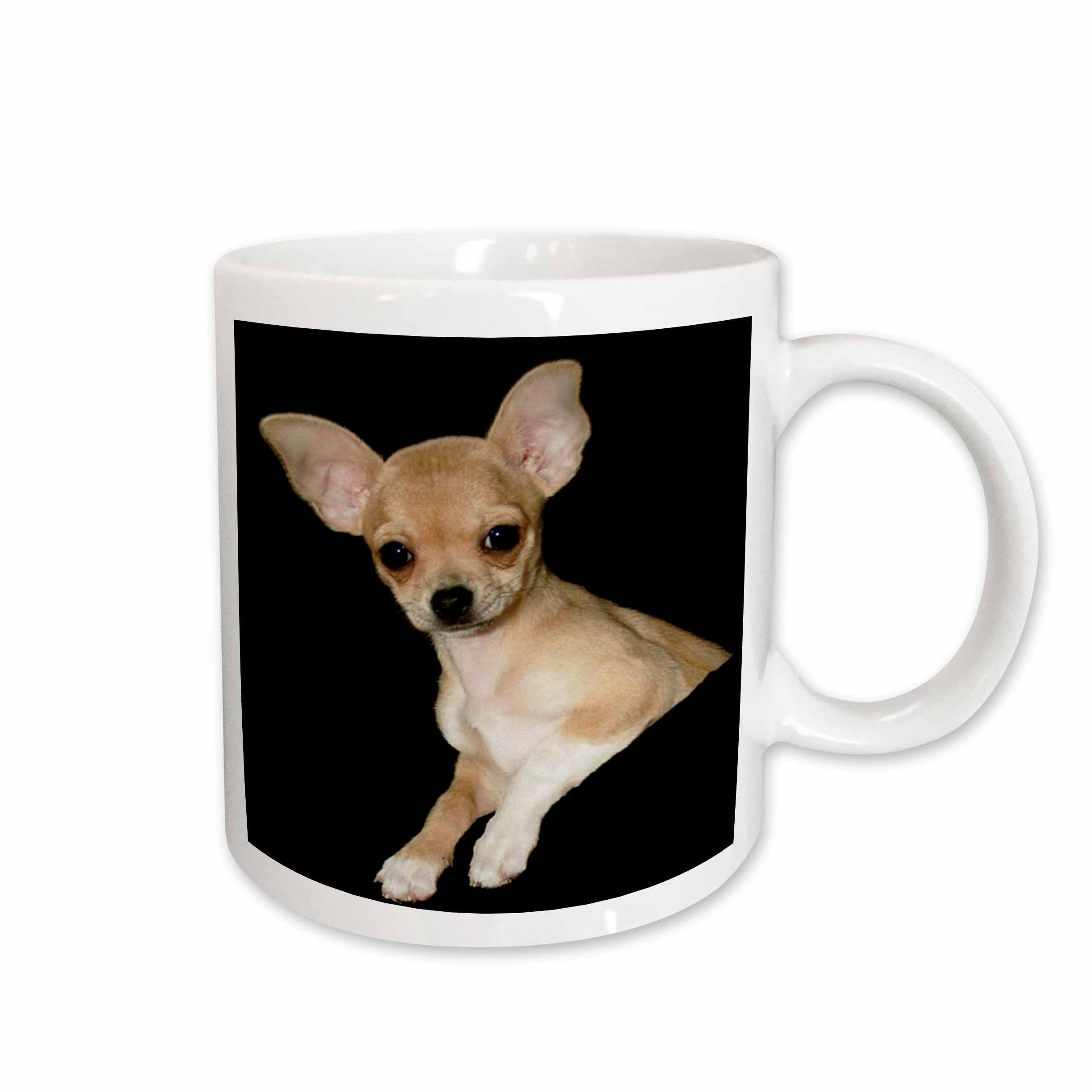3dRose Florene Dog - Beautiful Chihuahua Portrait - Mugs (mug_49302)