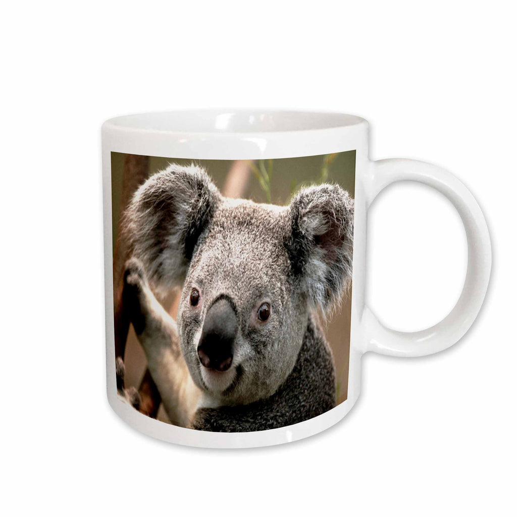 3dRose Florene Animals - Koala Bear Closeup - Mugs (mug_49324)