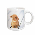 3dRose Florene Animals - Adorable Barbara Bunny Rabbit - Mugs (mug_55173)