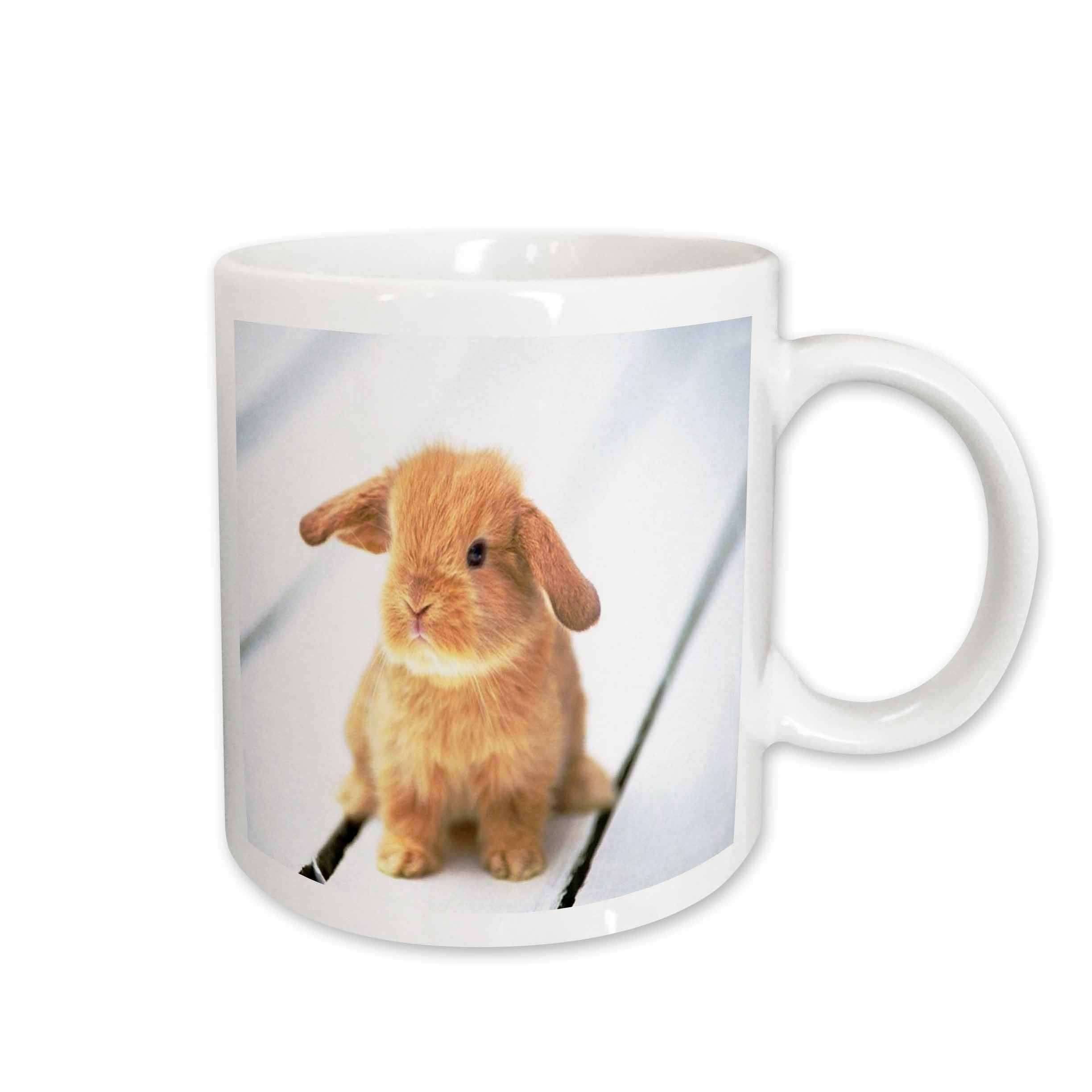 3dRose Florene Animals - Adorable Barbara Bunny Rabbit - Mugs (mug_55173)