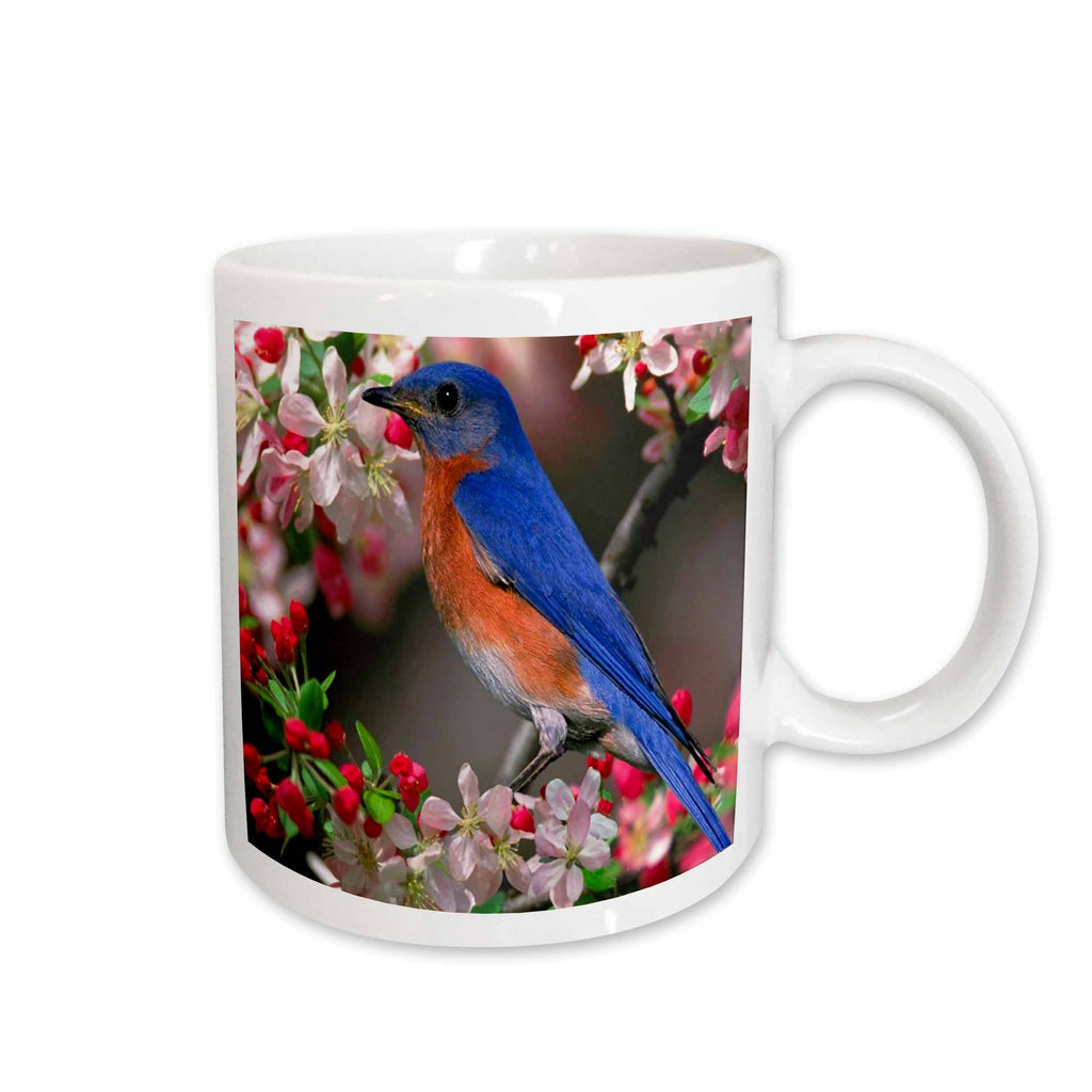 3dRose Florene Birds - Beautiful Bluebird n Cherry Blossoms - Mugs (mug_55179)
