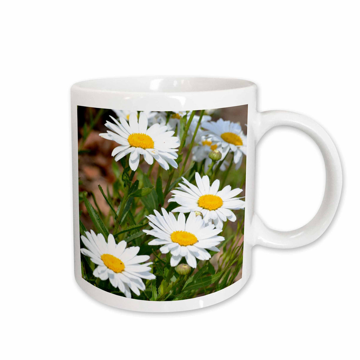 3dRose PS Flowers - Pretty White Daisies - Flowers - Floral Print - Mugs (mug_56294)