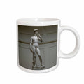 3dRose Art - Michaelangelos David Statue - Mugs (mug_602)