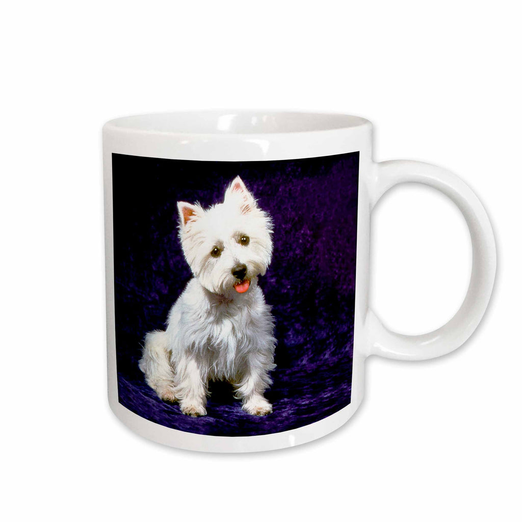 3dRose Dogs West Highland Terrier - Westie - Mugs (mug_608)