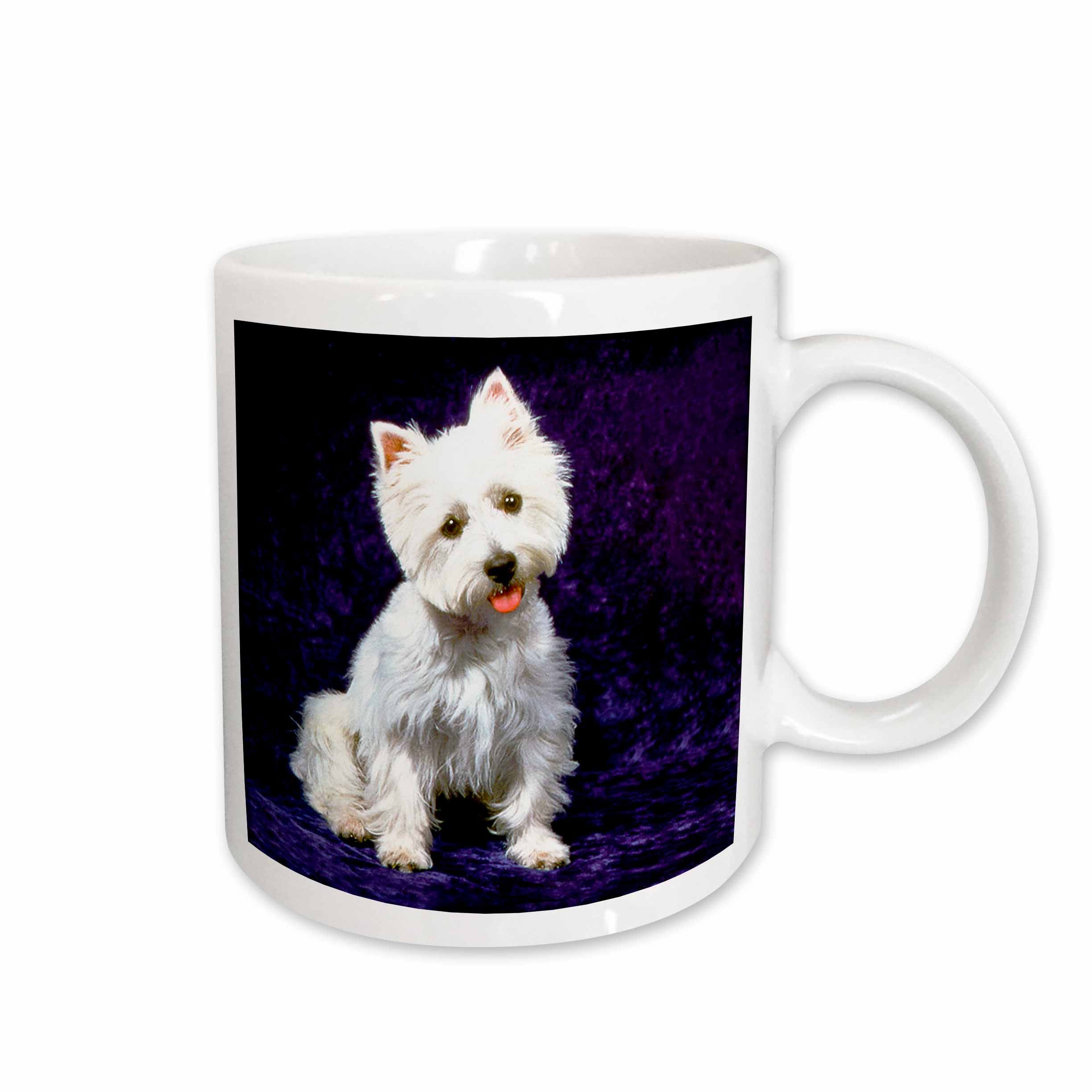 3dRose Dogs West Highland Terrier - Westie - Mugs (mug_608)