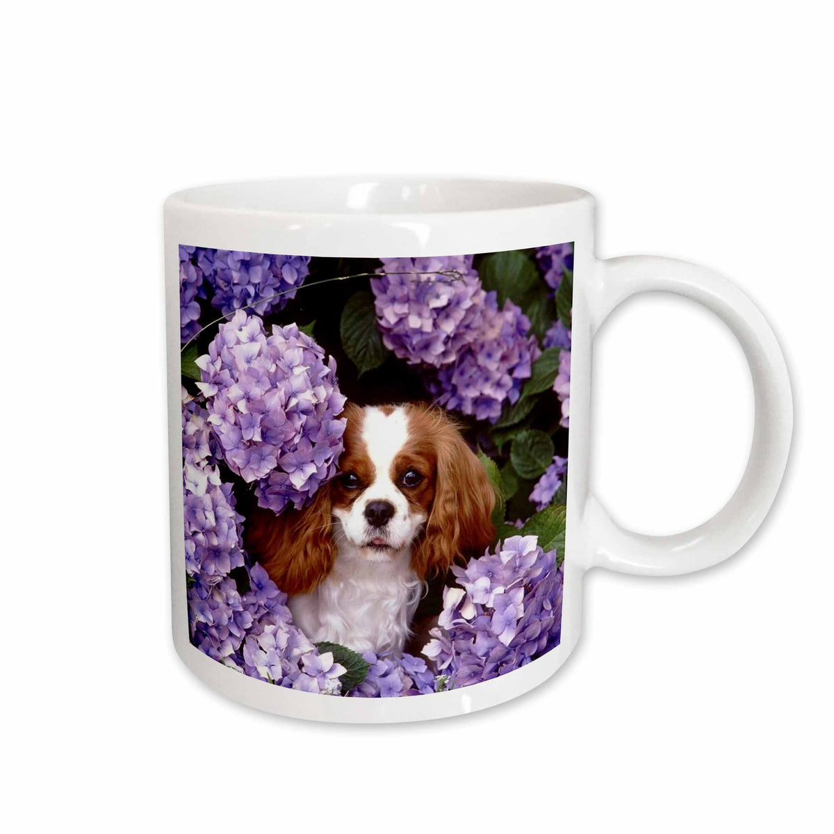 3dRose Florene Dog - Cavalier King Charles Spaniel - Mugs (mug_61913)