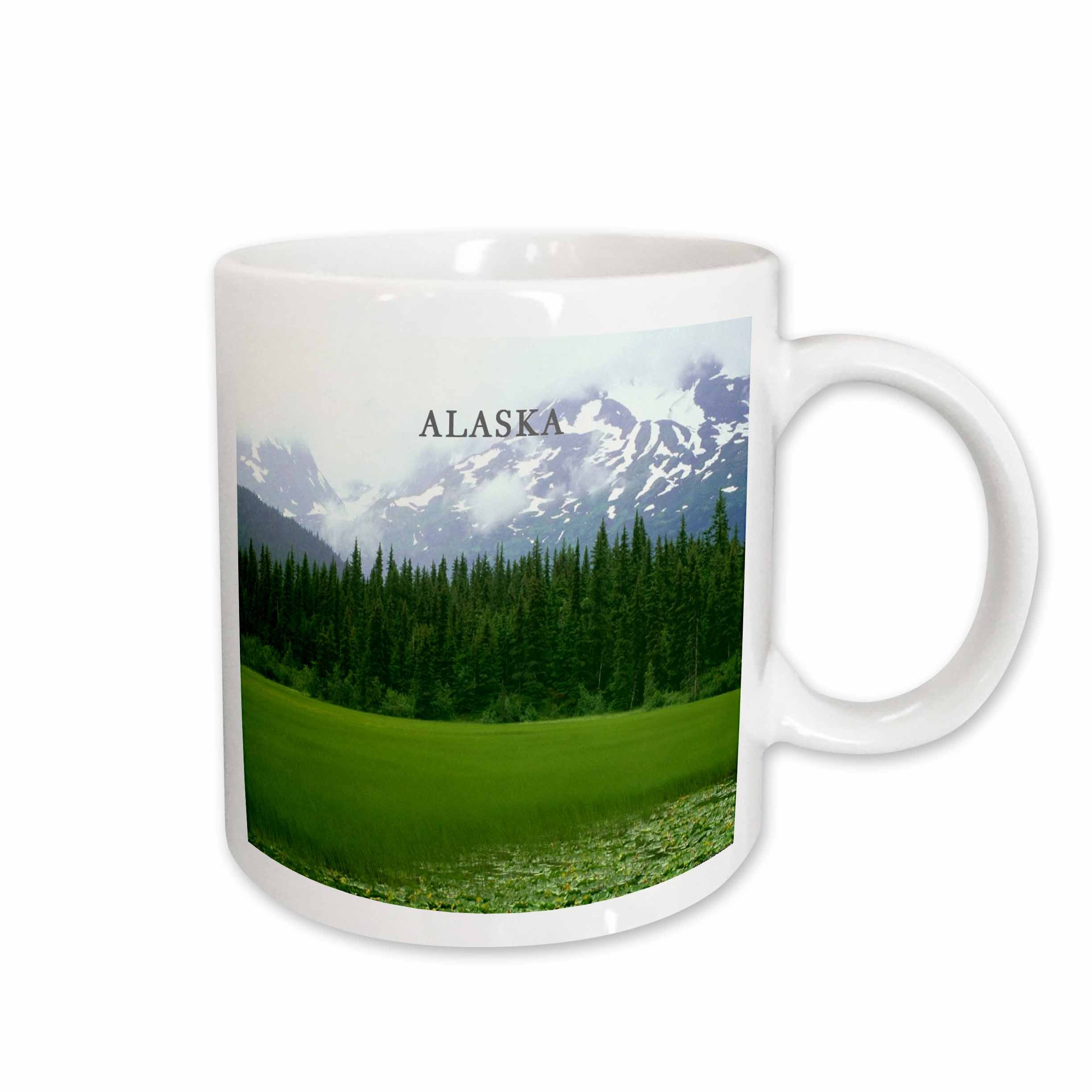 3dRose Florene America The Beautiful - Beautiful Moose Pass Alaska - Mugs (mug_62121)