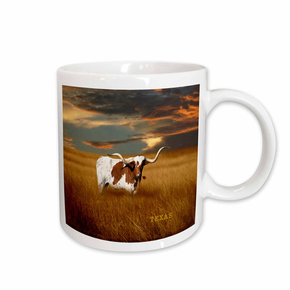 3dRose Florene America The Beautiful - A Texas Longhorn - Mugs (mug_62229)
