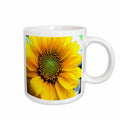 3dRose Florene Flower - Painted Sunflower - Mugs (mug_62400)