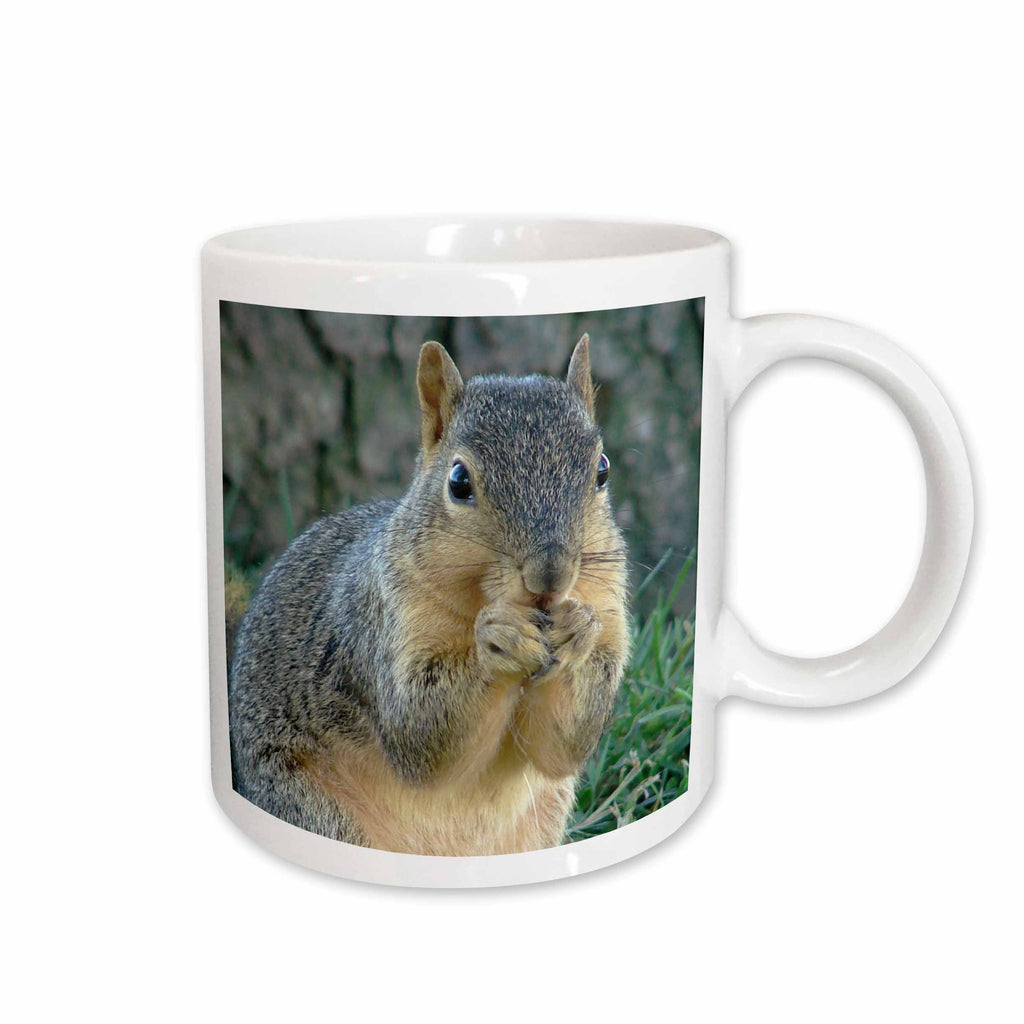 3dRose Squirrel Eating Acorns Photographed by Angelandspot - Mugs (mug_6451)