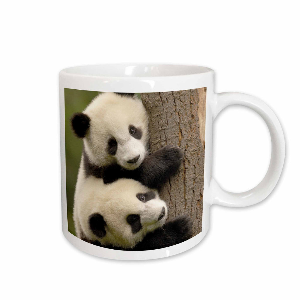 3dRose Giant panda bears, Wolong China Conservation, CHINA-AS07 POX0412 - Pete... - Mugs (mug_70216)