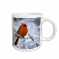3dRose Quebec. Male northern cardinal bird, ice storm-CN10 BJA0019 - Janyes... - Mugs (mug_70449)