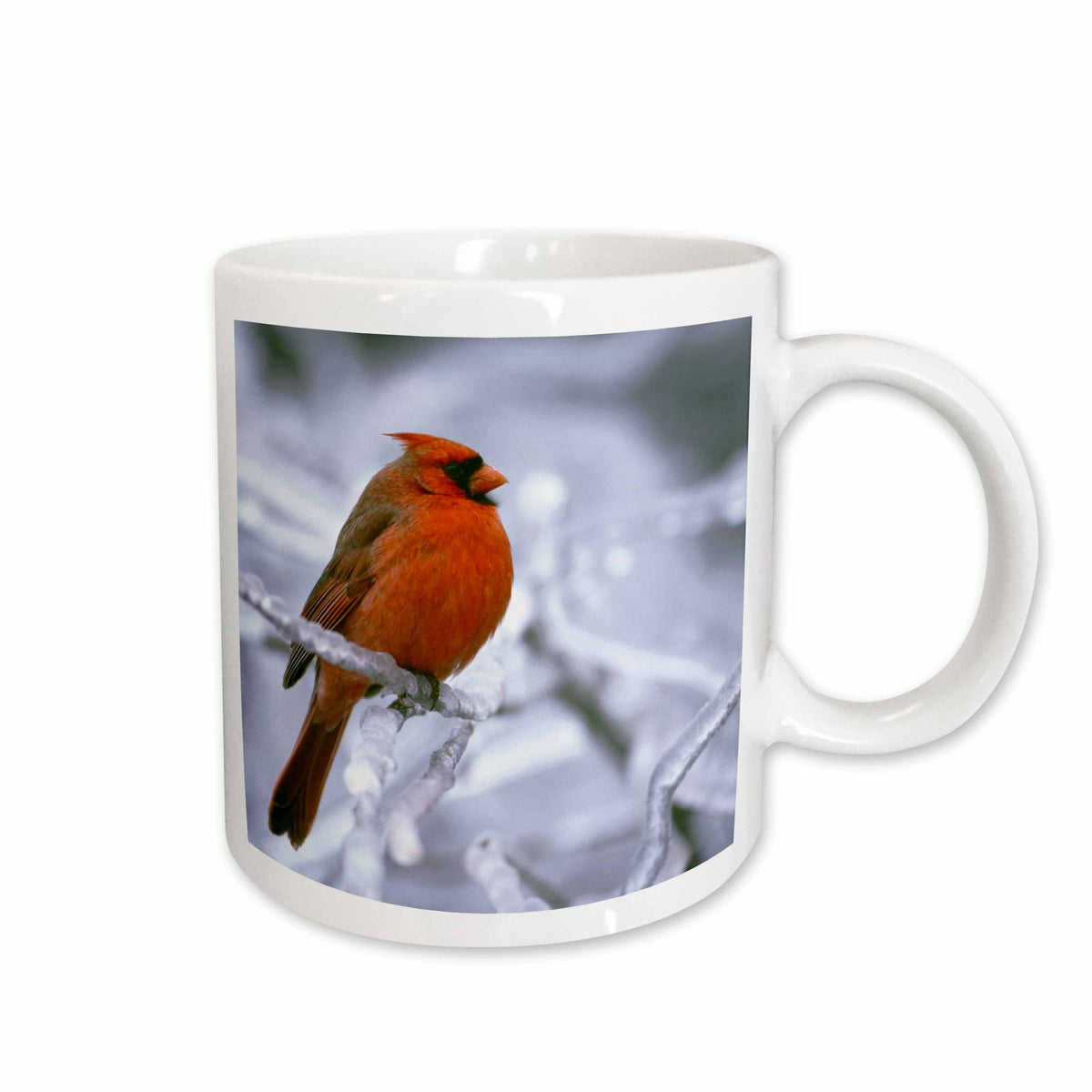 3dRose Quebec. Male northern cardinal bird, ice storm-CN10 BJA0019 - Janyes... - Mugs (mug_70449)