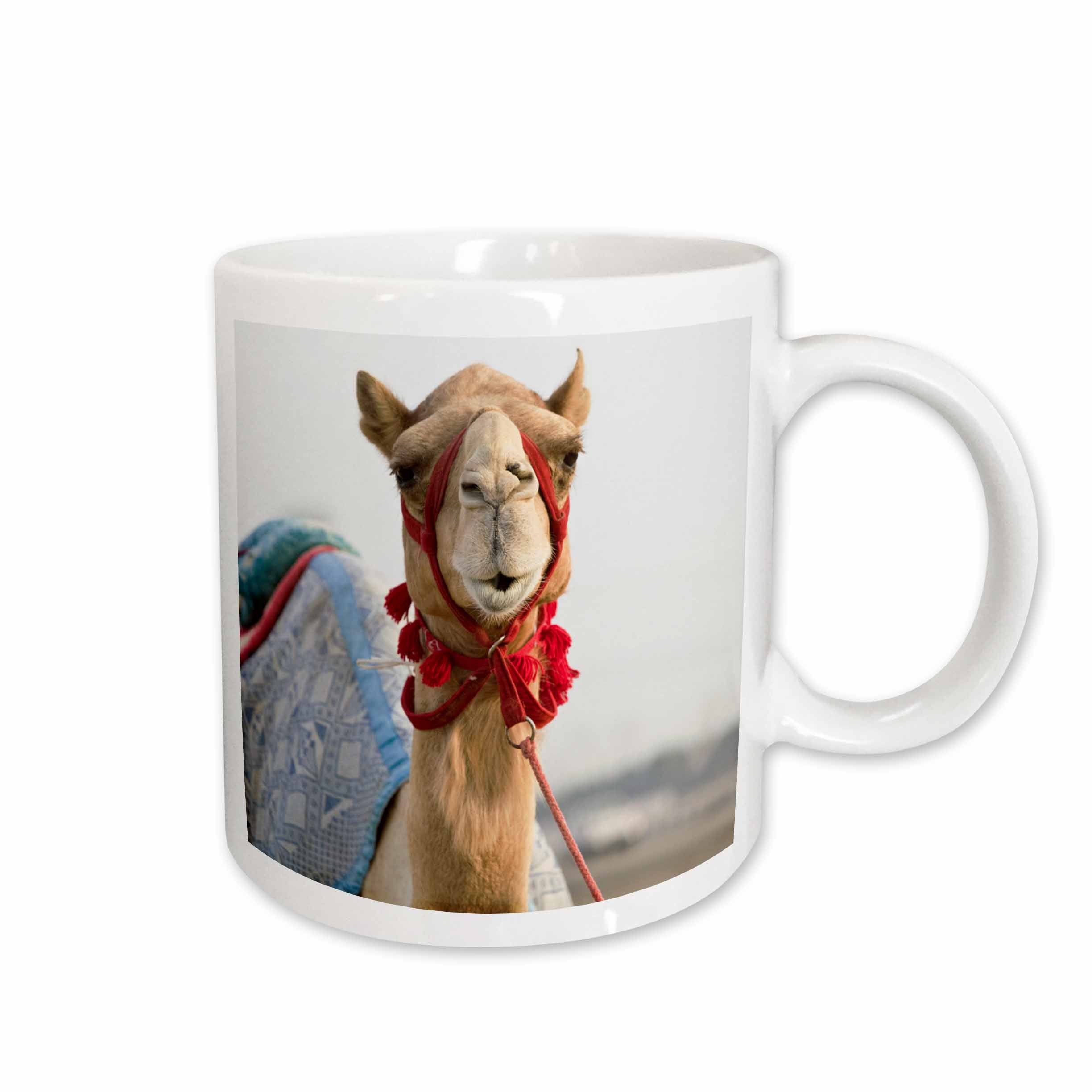 3dRose UAE, Dubai, Al Marqadh. Dubai Camel Racing Track-AS44 WBI0141 - Walter... - Mugs (mug_70914)