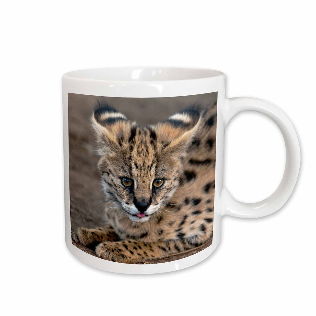 3dRose Serval Cat, Kapama Game Reserve, South Africa-AF42 SPI0103 - Sergio... - Mugs (mug_70989)