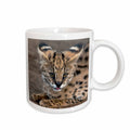 3dRose Serval Cat, Kapama Game Reserve, South Africa-AF42 SPI0103 - Sergio... - Mugs (mug_70989)