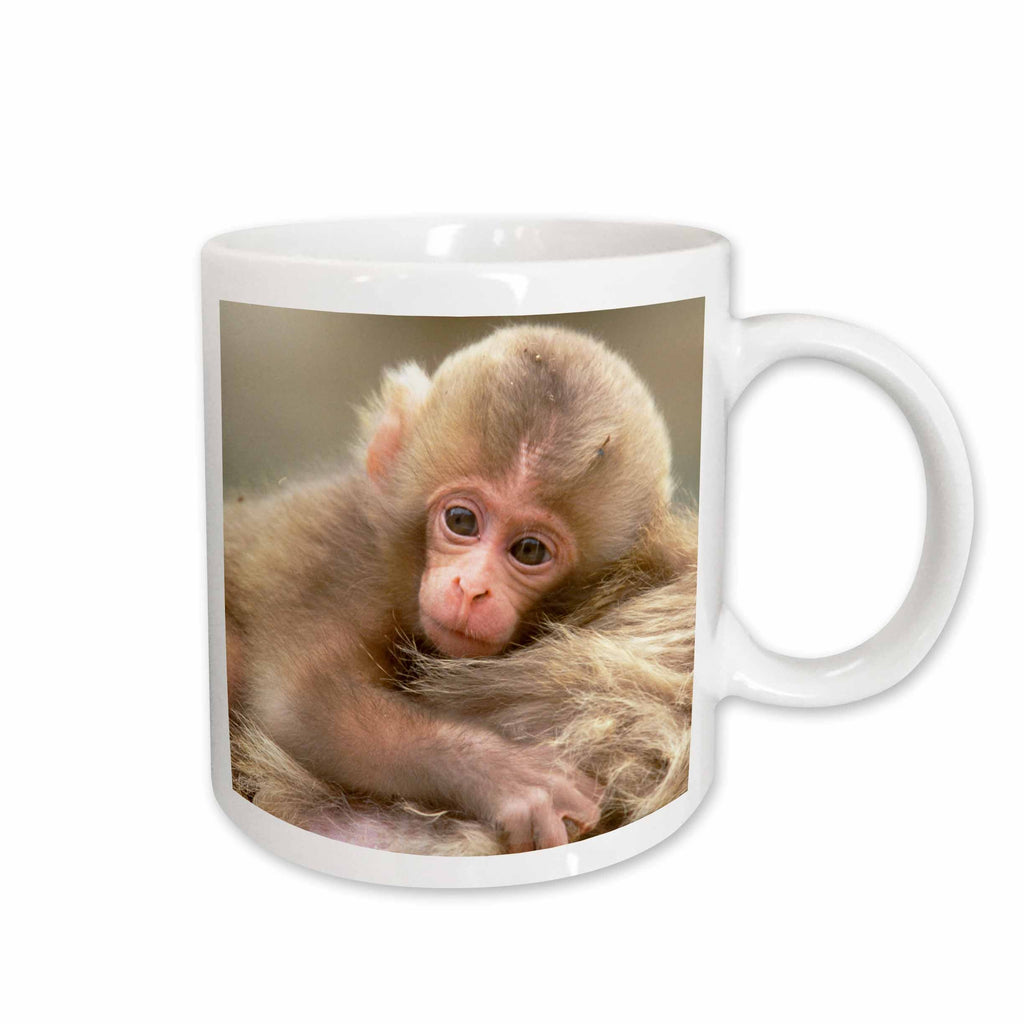 3dRose Snow Monkey Baby, Jigokudani, Nagano, Japan-AS15 RTI0483 - Rob Tilley - Mugs (mug_73485)