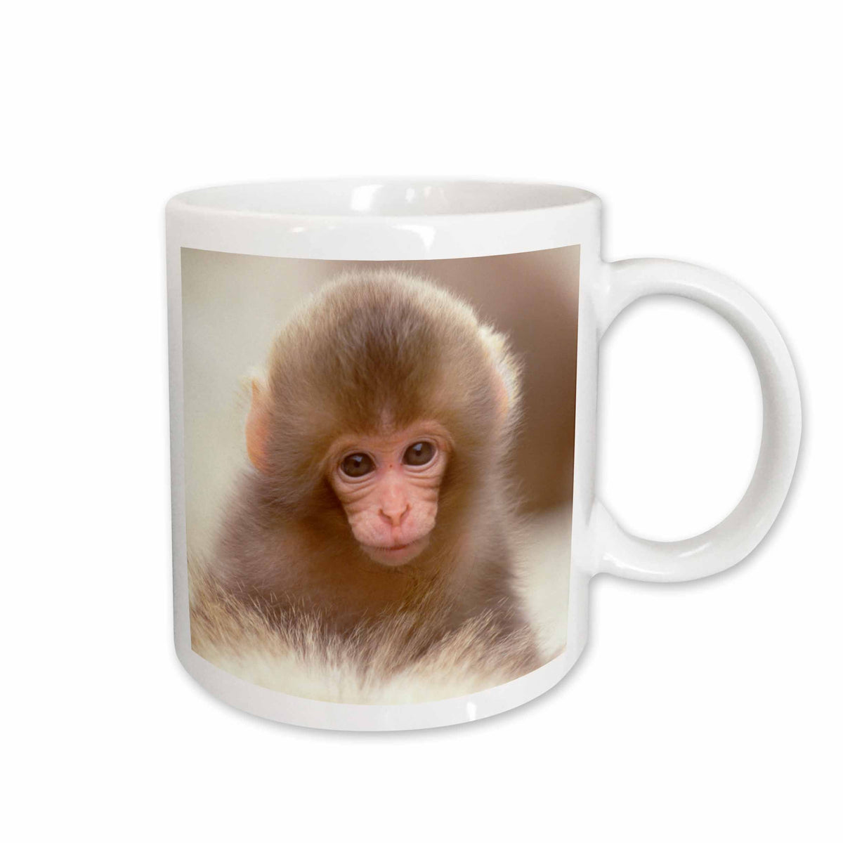 3dRose Japan, Nagano, Jigokudani, Snow Monkey Baby -AS15 RTI0457 - Rob Tilley - Mugs (mug_73487)