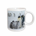 3dRose Emperor Penguins in snowstorm, Snow Hill Island, Antarctica-AN02 KSU0113... - Mugs (mug_74385)