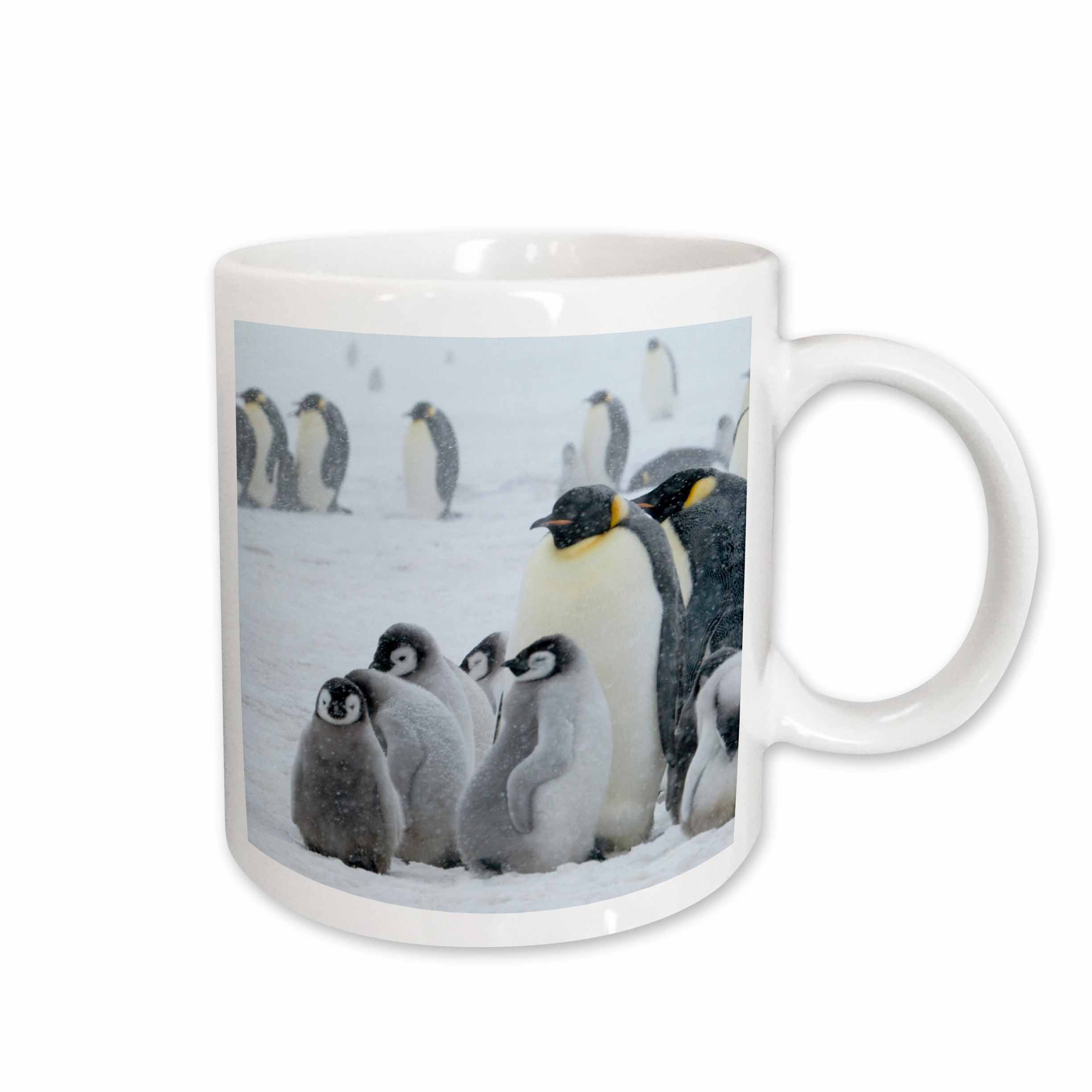 3dRose Emperor Penguins in snowstorm, Snow Hill Island, Antarctica-AN02 KSU0113... - Mugs (mug_74385)