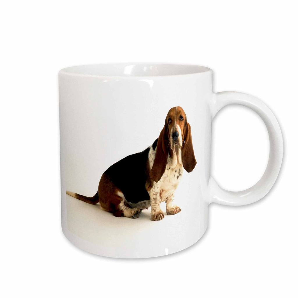 3dRose Florene Dog - Handsome Basset Hound - Mugs (mug_80272)