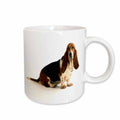 3dRose Florene Dog - Handsome Basset Hound - Mugs (mug_80272)