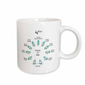 3dRose Florene Boat - Diagram Of Points For A Sailboat - Mugs (mug_80477)