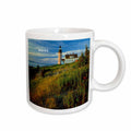 3dRose Florene America The Beautiful - Quoddy Head Lubec Maine Lighthouse - Mugs (mug_80867)