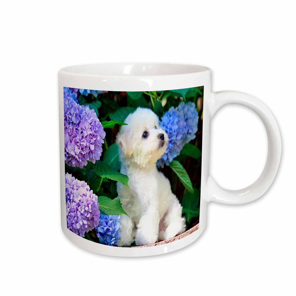 3dRose Florene Dog - Adorable Bichon Frise Puppy Among Hydrangeas - Mugs (mug_80886)