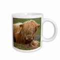 3dRose Highland cow, Farm animal, North Yorkshire, England - EU33 DWA0158 -... - Mugs (mug_82774)