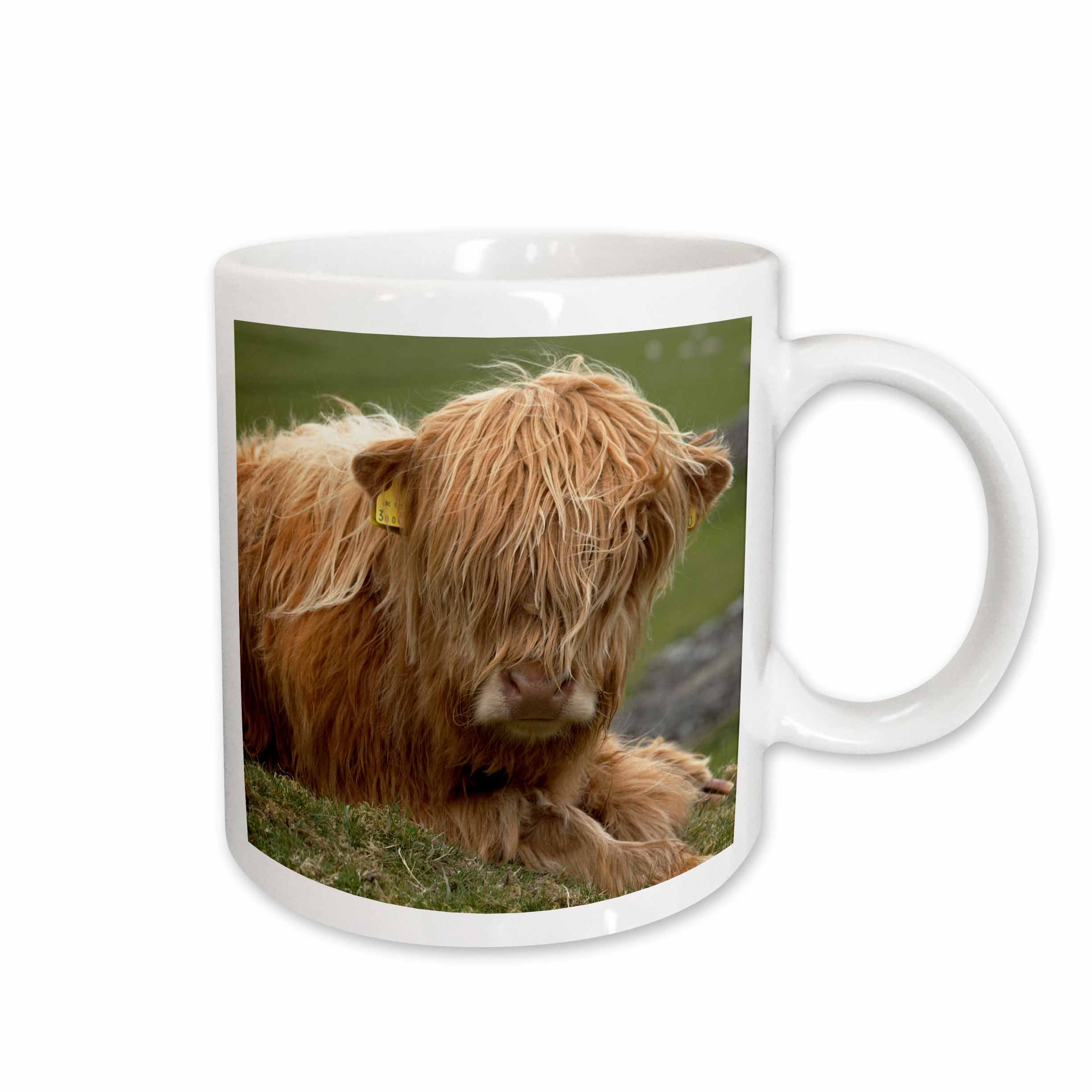 3dRose Highland cow, Farm animal, North Yorkshire, England - EU33 DWA0158 -... - Mugs (mug_82774)